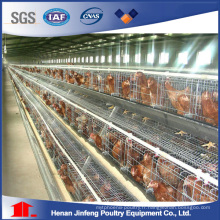 Quail Cage Laying Hens Équipement de levage automatique de cage de poulet